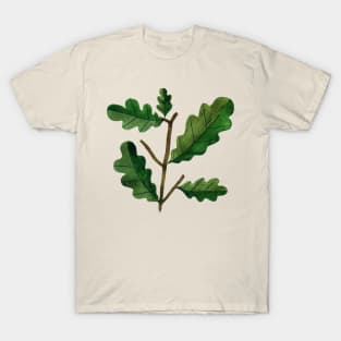 Oak branch T-Shirt